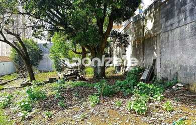 Imagem 4: Terreno à venda, 420 m² por R$ 1.389.997,00 - Vila Alpina - Santo André/SP