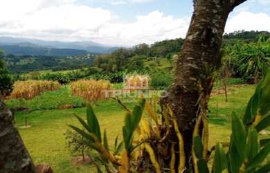 Imagem 4: Sítio Chácara com venda por R$259.000