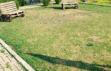 Imagem 16: Guaíba - Casa Padrão - Colina