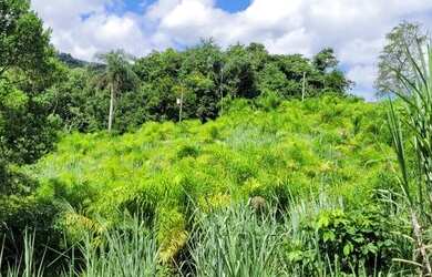 Imagem 14: Venda. 112.000m² de Área