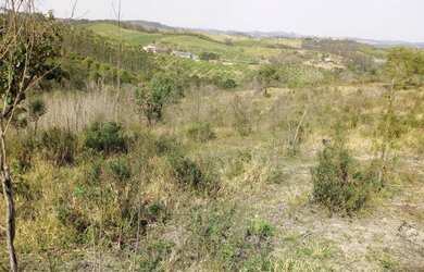 Imagem 14: conforto pra você e sua família só aqui Santa Isabel - SP