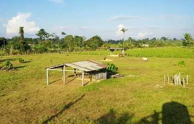 Imagem 2: Linda fazenda medindo 200 hectares, escriturada