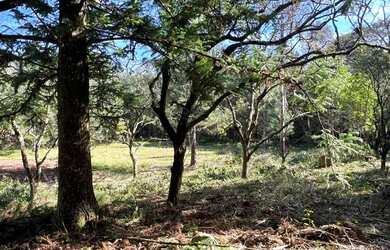 Imagem 4: Sítio Com Açude Em Condomínio Fechado. ROB 699