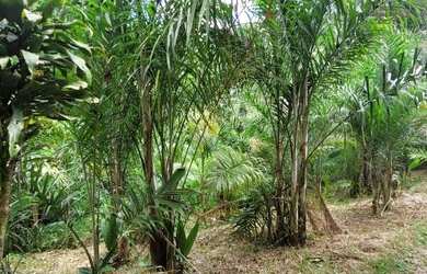 Imagem 4: Venda. 112.000m² de Área