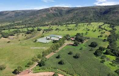 Imagem 7: Vende-se Fazenda em Buritis MG, 180km de Brasília - Um Paraíso de 159...