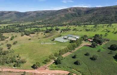 Imagem 2: Vende-se Fazenda em Buritis MG, 180km de Brasília - Um Paraíso de 159...