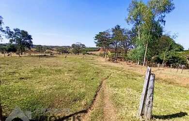 Imagem 10: Ótima Fazenda entre Floreal e Nhandeara com 130 alqueires Cana / Pasto...