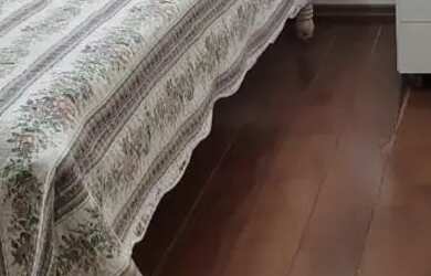 Imagem 5: Casa alto Umuarama próximo a UFU