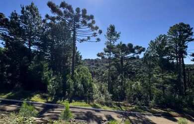 Imagem 8: Terreno - Bairro Dutra. Imóvel novoe450m² de Área