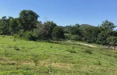Imagem 9: Fazenda em Paracatu MG de 213 hectares com 70 hectares de área plana...