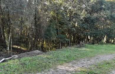 Imagem 9: CAXIAS DO SUL - Terreno Padrão - MONTE BÉRICO