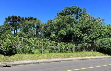 Imagem 2: Área com potencial construtivo a venda