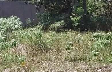 Imagem: O terreno possui 450m² de Área e está localizado em Areia