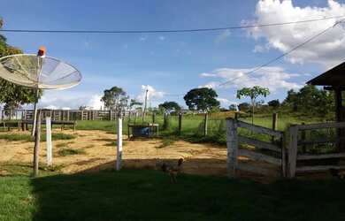 Imagem: Fazenda 3 quartos para Venda Amaral, Unaí