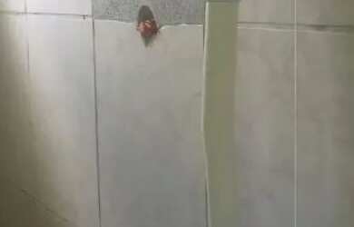 Imagem 3: Alugo KITNET em Jardim Paulista Baixo