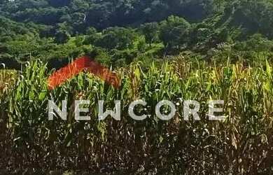 Imagem: A fazenda possui 15.000m² de Área e está localizado em Medianeira