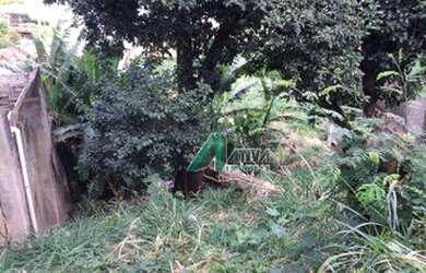 Imagem 12: Terreno à venda, 360 m² por R$ 420.000,00 - Santa Lúcia - Belo Horizonte/MG