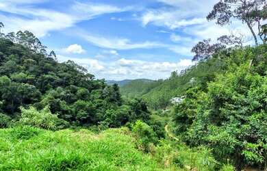 Imagem: A fazenda possui 32000m² de Área e está localizado em Paraju