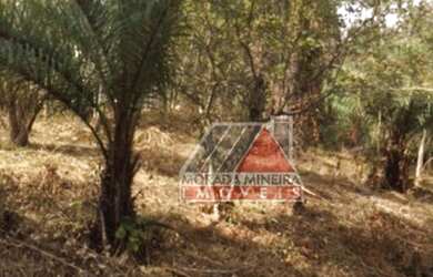 Imagem 13: Terreno Lote para Venda em Vale do Tamanduá Santa Luzia-MG - 413