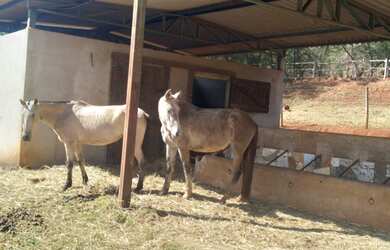 Imagem 9: muita agua. Piscinae96.000m² de Área