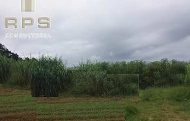 Imagem 1: Área Industrial ou Comercial para Venda no Rio Abaixo em Atibaia