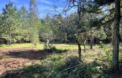 Imagem 12: Sítio Com Açude Em Condomínio Fechado. ROB 699