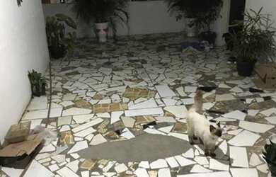 Imagem: O apartamento possui 2 Dormitórios, 2 Banheiros, 100m² de