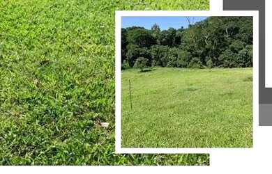 Imagem: O terreno possui 600m² de Área e está localizado em Centro