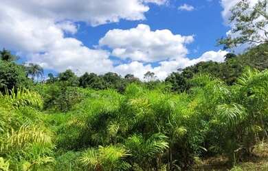 Imagem 9: Venda. 112.000m² de Área