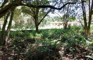 Imagem 7: Terreno Em rua à Venda, 427m² - Bairro Cajueiros Itaipuaçu em Maricá