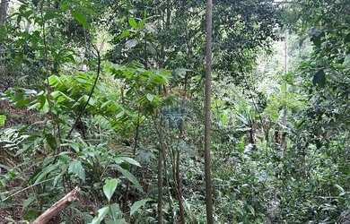 Imagem: O terreno possui 250m² de Área e está localizado em Barreiro