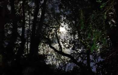 Imagem 6: Terrenos em local alto Viamão