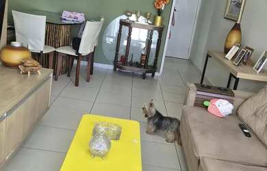 Imagem: O apartamento possui 3 Dormitórios, 3 Banheiros, 2 Vagas na