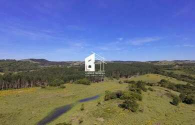 Imagem 4: Área rural com 67 ha, casas, açude e pinus