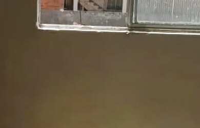 Imagem 3: ALUGUEL CASA CAJAZEIRA 11