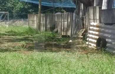 Imagem: O terreno possui 610m² de Área e está localizado em Presidente