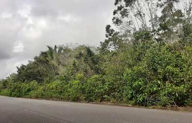 Imagem: O terreno possui Imóvel novo e está localizado em Palmares