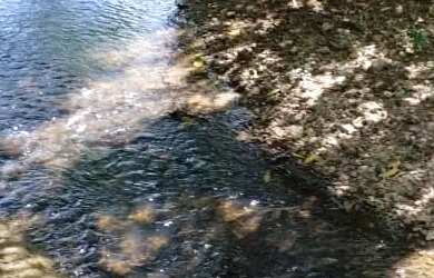 Imagem: A chácara à venda e está localizado em Setor Faiçalville