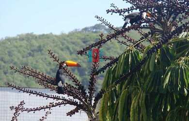 Imagem: Freguesia (Jacarepaguá