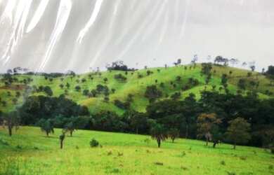 Imagem: A fazenda possui 151m² de Área e está localizado em Sanclerlândia