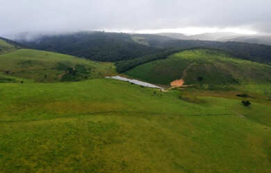 Imagem: A fazenda possui 1.100m² de Área e está localizado em Correntes
