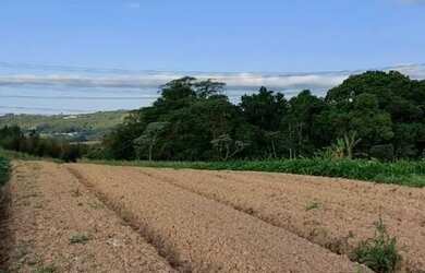 Imagem: O terreno está localizado em Cotia, SP à venda por R$35.000