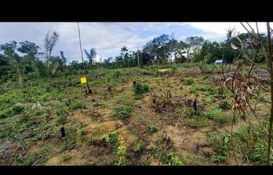 Imagem: O terreno possui 2500m² de Área, Imóvel novo e está localizado