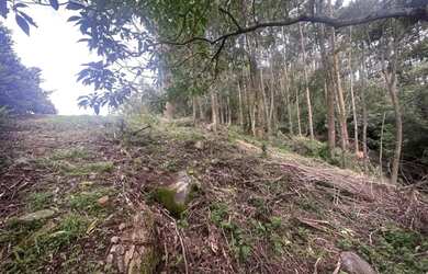 Imagem 11: Terreno - Bairro Pórtico