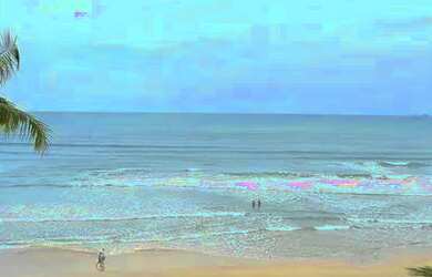 Imagem: O apartamento possui 4 Dormitórios, 5 Banheiros, 2 Vagas na