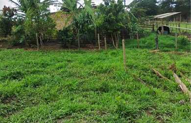 Imagem: A fazenda possui 10.000m² de Área e está localizado em Glaucilândia