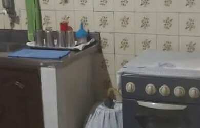 Imagem 9: Vendo ótima casa na cidade nova 5 we29