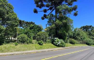 Imagem 6: Área com potencial construtivo a venda