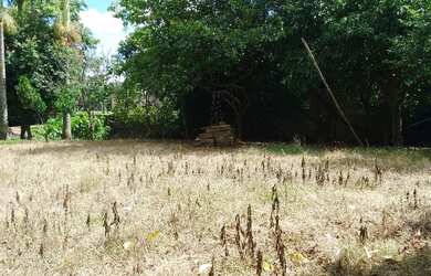 Imagem 2: Vendo um terreno em rolante RS