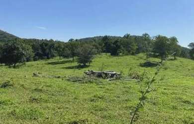 Imagem 13: Fazenda em Paracatu MG de 213 hectares com 70 hectares de área plana...